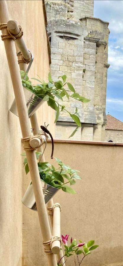 Tresors De La Cathedrale, Maison De Ville Sur 4 Niveaux Narbonne Exterior photo
